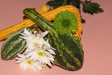 Balkabaklı güzel çiçekler, Cadılar Bayramı konsepti