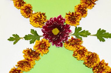 Beyaz ve yeşil arka planda güzel çiçek deseni