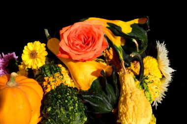 Sonbahar konsepti, balkabakları ve çiçekler