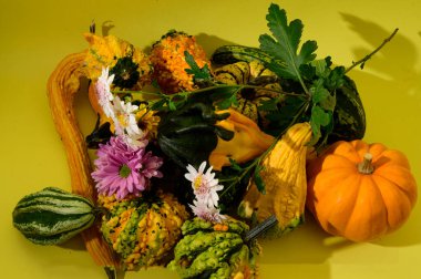 Sonbahar konsepti, balkabakları ve çiçekler