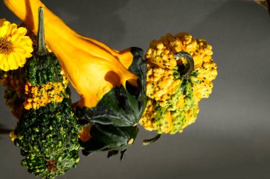 Sonbahar konsepti, balkabakları ve güzel çiçekler.