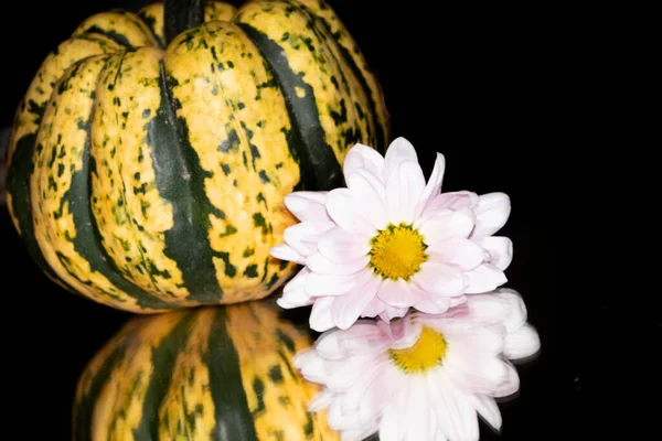 熟したカボチャとカラフルな秋の花を開花の閉鎖 収穫の概念 — ストック写真