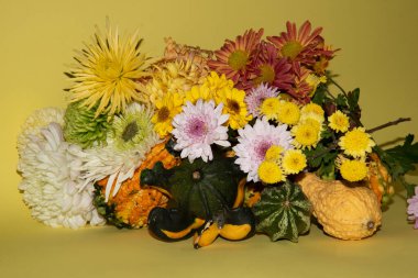 Sonbahar konsepti, balkabakları ve çiçekler