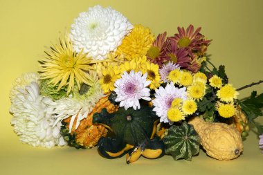 Sonbahar konsepti, balkabakları ve çiçekler