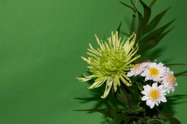 Yeşil arkaplanda fotokopi alanı olan bir buket çiçek