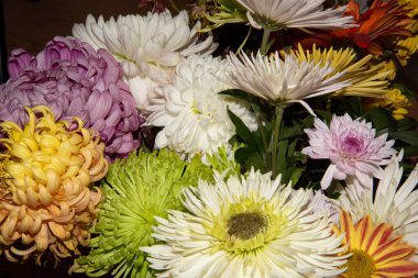 Bahçedeki güzel çiçekler