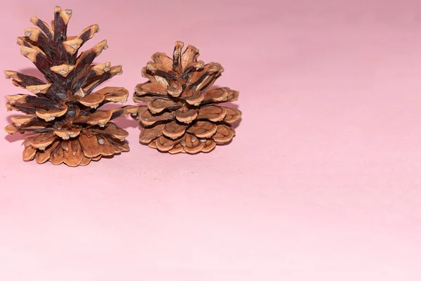 Christmas New Year Concept Pine Cones Pink — Stock Photo, Image
