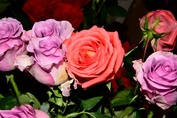 バラが閉まりました 花のある美しい背景 — ストック写真