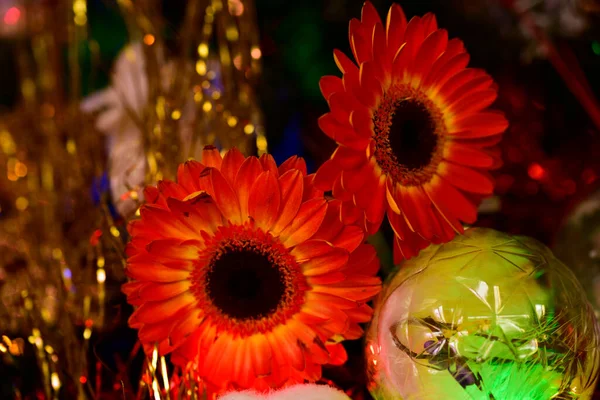 Belo Buquê Flores Festivas — Fotografia de Stock