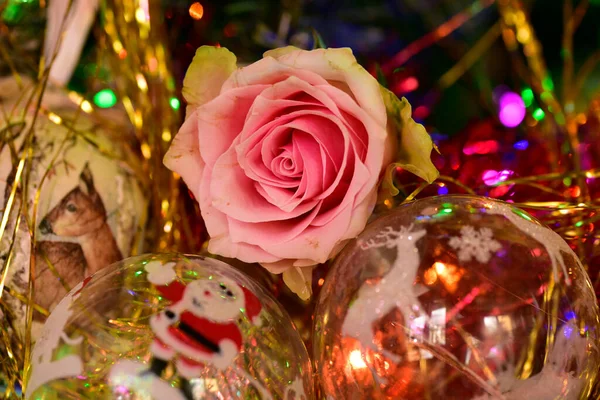Χριστουγεννιάτικα Στολίδια Και Φρέσκα Λουλούδια Στο Χριστουγεννιάτικο Δέντρο — Φωτογραφία Αρχείου