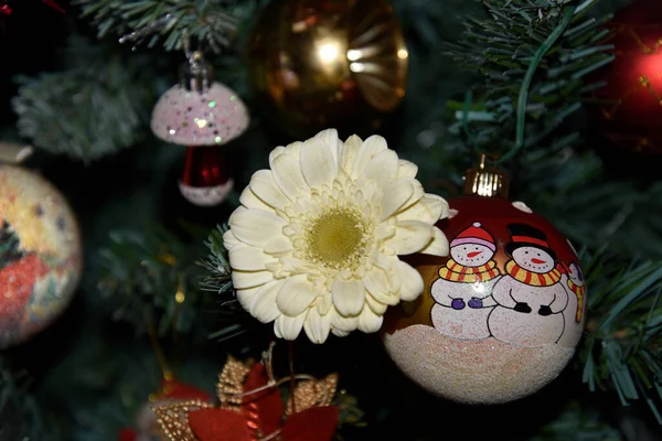 Kerstversiering Verse Bloem Kerstboom — Stockfoto