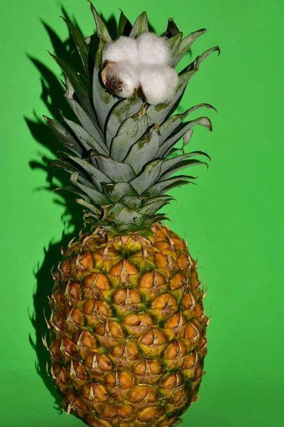 Ananas Frukt Med Bomullsfiber Närbild Isolerad Grön Bakgrund — Stockfoto