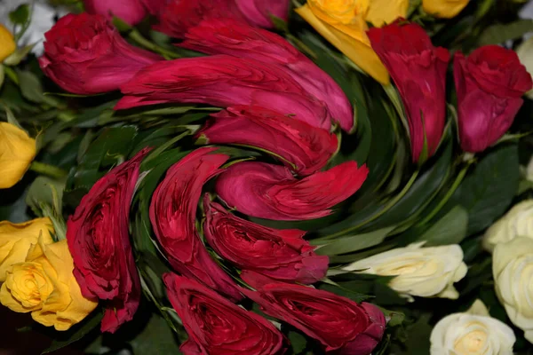 Gros Plan Belles Fleurs Rose Sur Fond Flou — Photo