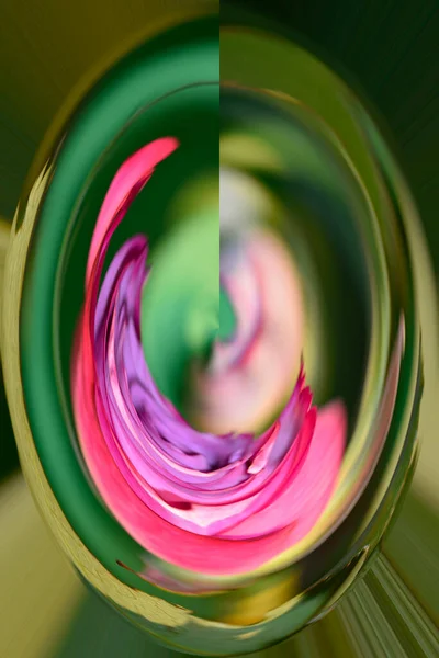 Close Warped Shot Beautiful Colorful Rose Flowers Blurred Background — Stockfoto
