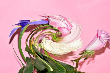 Açık pembe arka planda güzel çiçeklerin yakın plan çarpık görüntüsü.