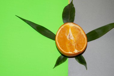 çift renkli arka planda yaprakları olan turuncu