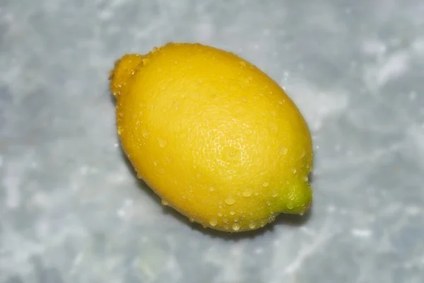 Buah Lemon Pada Latar Belakang Abu Abu — Stok Foto
