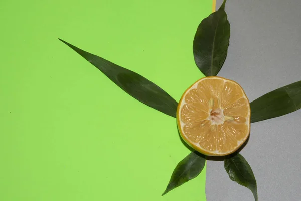 Yellow Lemon Leaves Double Colored Background — Stock Photo, Image