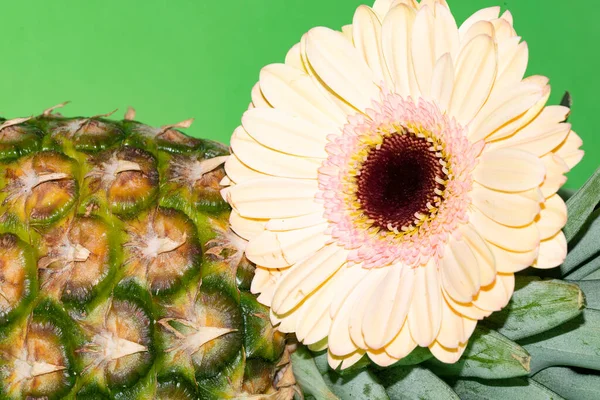 Beautiful Gerbera Flower Fresh Pineapple Exotic Fruit — Stock Photo, Image