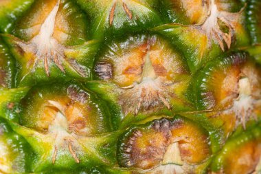 Taze ananas meyvesi, yakın görüş.