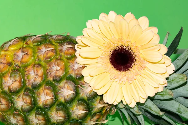 Hermosa Flor Gerberas Con Fruta Exótica Piña Fresca — Foto de Stock