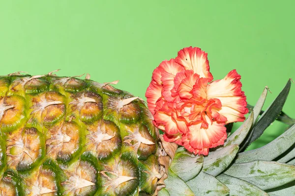 Beautiful Clove Flower Fresh Pineapple Exotic Fruit — Stock Photo, Image
