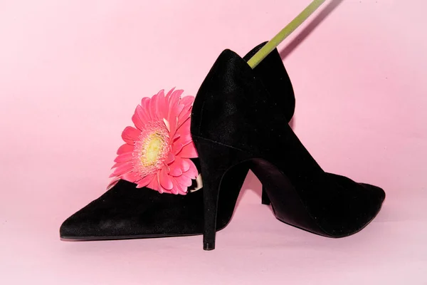 High Heels Fashion Concept Black Shoes Gerbera Flower — Photo