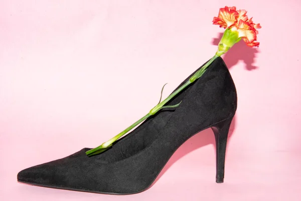 High Heel Fashion Concept Black Shoe Flower — Photo