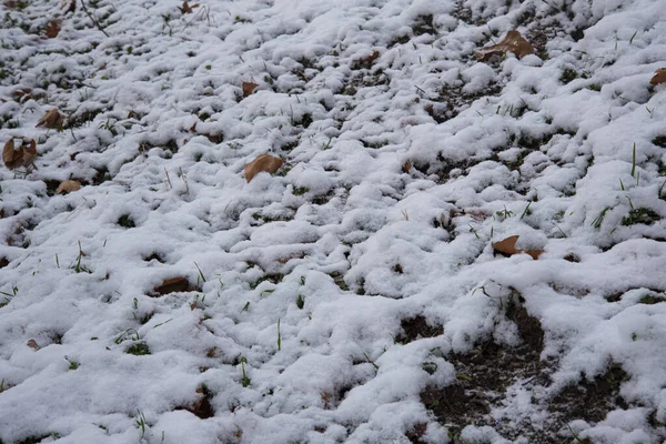 Білий Сніговий Текстури Фон Абстрактний Візерунок — стокове фото