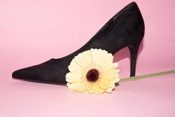 High Heel Fashion Concept Black Shoe Gerbera Flower — Photo