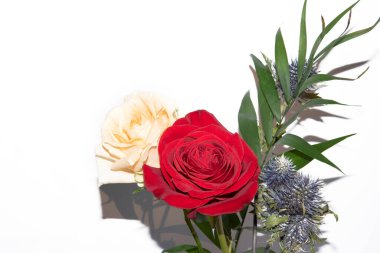 Devedikeni çiçeklerini muhteşem güllerle yakın plan çek.