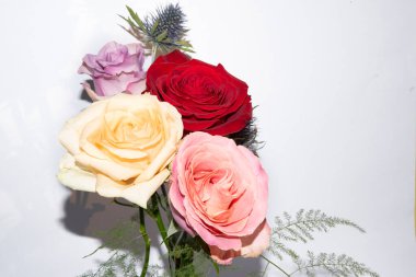 Beyaz arka planda bir buket yumuşak gül.