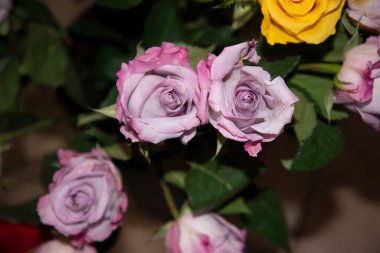 Bir buket güzel gül.  