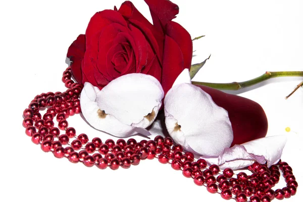 Красивые Цветы Бусинами Форме Сердца Белом Фоне — стоковое фото