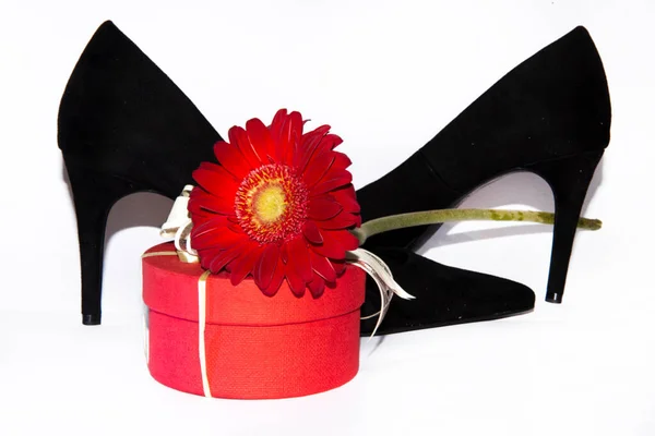 Chaussures Femme Avec Une Belle Fleur Dans Une Boîte Cadeau — Photo