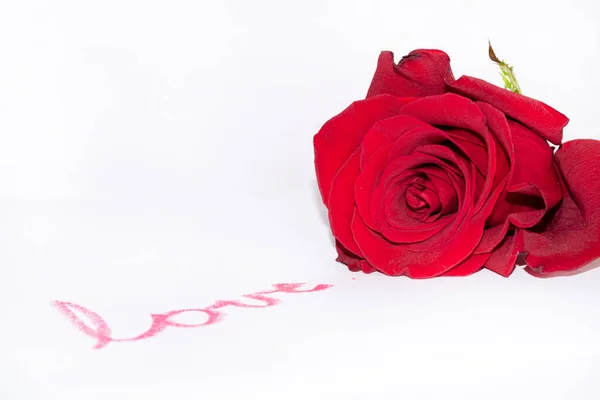 Roter Lippenstift Schriftzug Liebe Und Schöne Blume Auf Weißem Hintergrund — Stockfoto