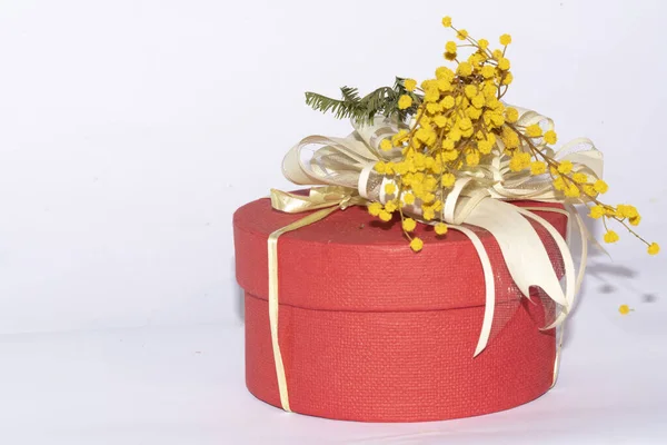 Gift Box Ribbon Flower White Background Royalty Free Stock Images