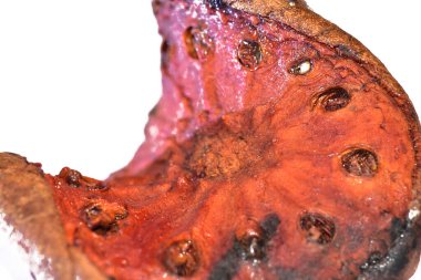 Beyaz bir arka plan üzerinde kurutulmuş meyve