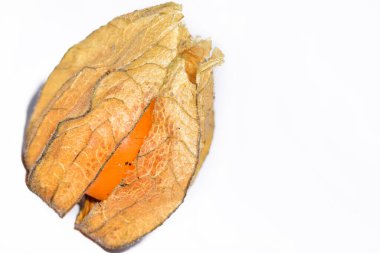 Taze meyve, Physalis Peruviana.