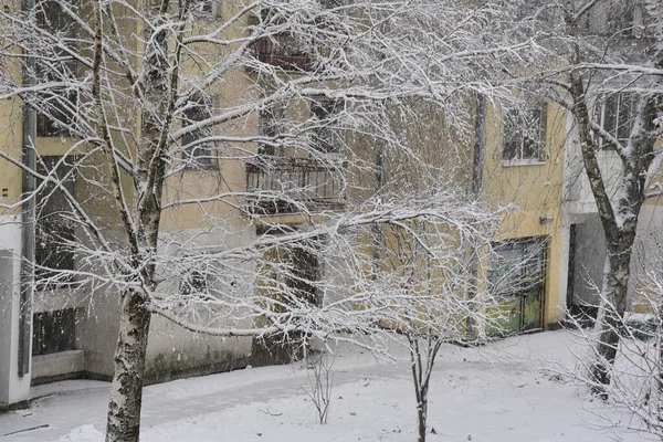 Paysage Hivernal Avec Des Arbres Enneigés Dans Ville — Photo