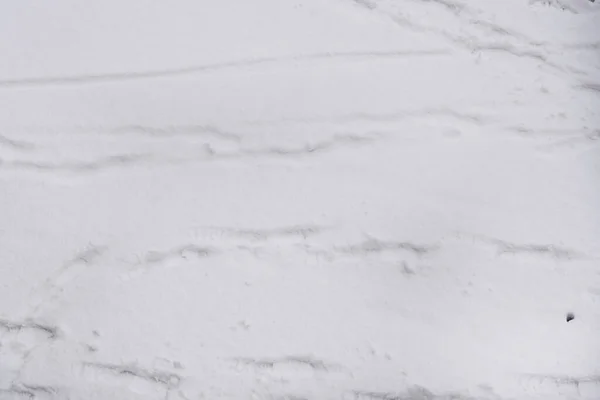 Білий Сніговий Текстури Фон Абстрактний Візерунок — стокове фото