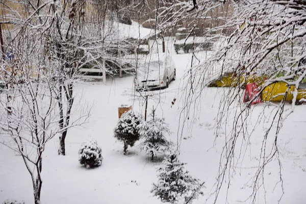 冬の風景と雪に覆われた街の木 — ストック写真