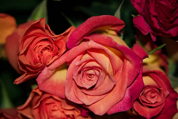 Beau Bouquet Fleurs Rose Tendre Vue Rapprochée — Photo