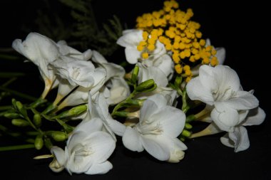 Siyah arkaplanda beyaz ve sarı çiçekler