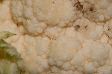 Beyaz karnabahara yakın, sağlıklı gıda konsepti