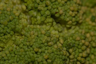 Taze yeşil brokoli, manzarayı kapat.