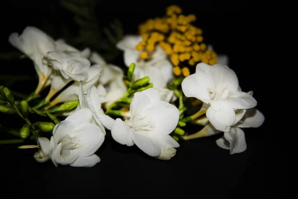 Siyah Arkaplanda Beyaz Sarı Çiçekler — Stok fotoğraf