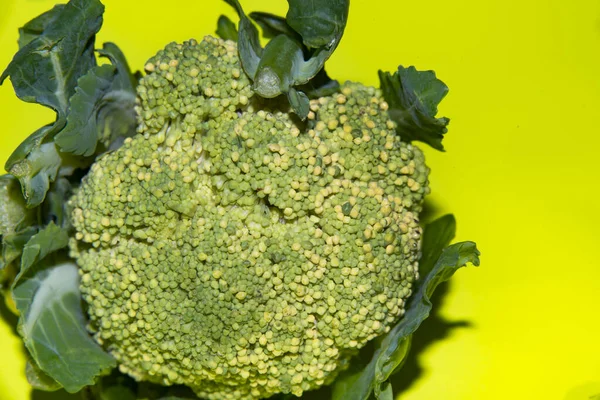 Färsk Grön Broccoli Närbild — Stockfoto