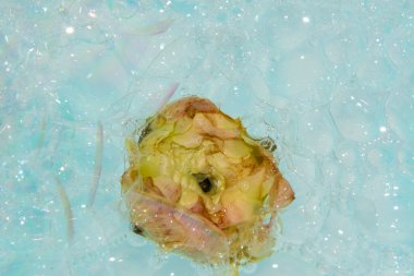 Köpüklü suda güzel sarı bir gülün yakın plan çekimi.