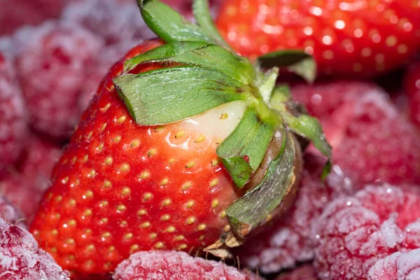 新鲜草莓和冰冻浆果 — 图库照片